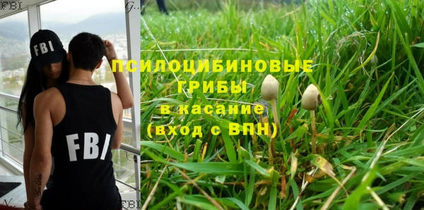 прущая мука Инта