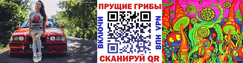 Галлюциногенные грибы MAGIC MUSHROOMS  ссылка на мегу ТОР  Бокситогорск 